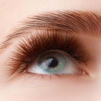 Lamination de sourcils